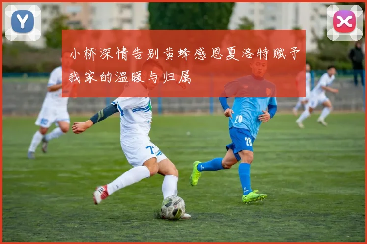 小桥深情告别黄蜂感恩夏洛特赋予我家的温暖与归属