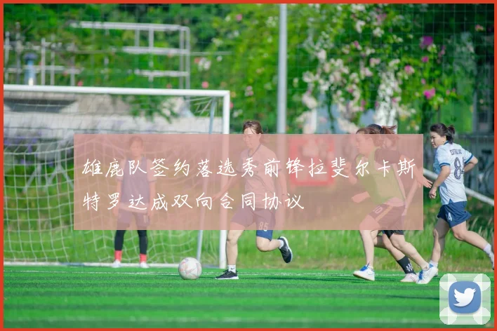 雄鹿队签约落选秀前锋拉斐尔卡斯特罗达成双向合同协议